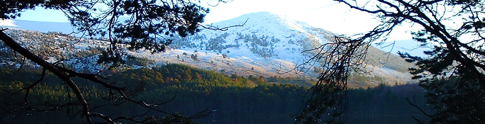Slideshow Image 2