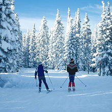 Skiing